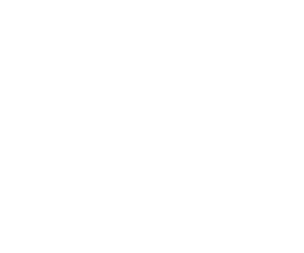 Wuerzburg Web Design