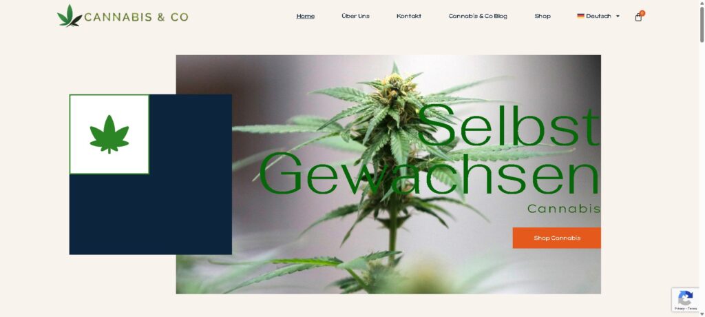 Chicago - Paris - Berlin - Munich - Frankfurt - Würzburg - Germany - Europe Webdesign